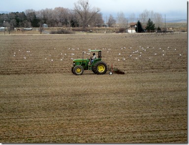 spring at last! edit 003