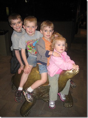 st. patty's day and the zoo 013