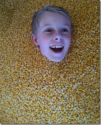 Pumpkin patch, leaves, etc 112edit