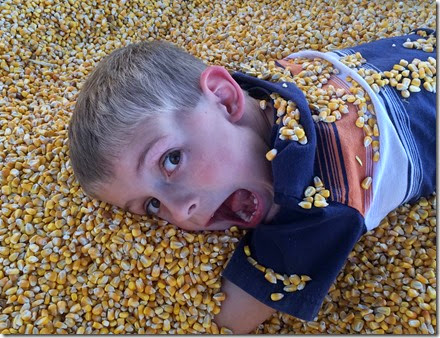 pumpkin patch 056edit