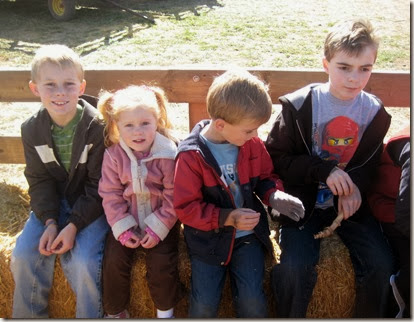 pumpkin patch and more 049