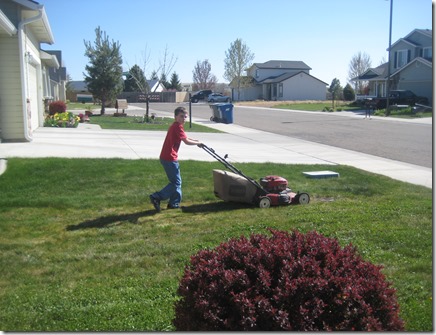 mowing the lawn 006
