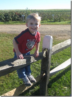 Pumpkin patch 058edit