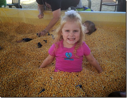 pumpkin patch 005edit