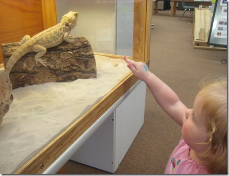 more grand junction 198