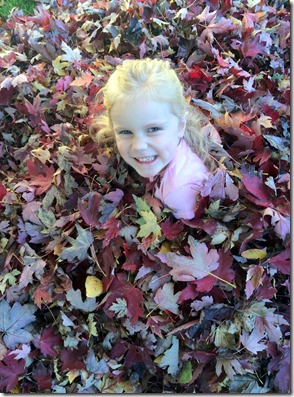 Pumpkin patch, leaves, etc 035edit2