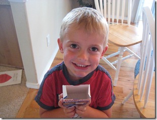 bandaids and animals 005