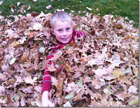 dishes and leaves 027