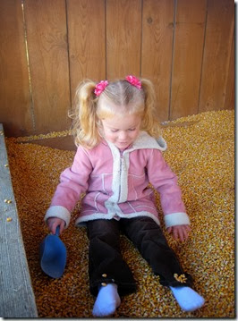 pumpkin patch and more 016