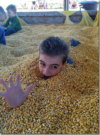 pumpkin patch 046edit