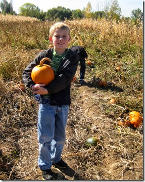 pumpkin patch and more 068edit