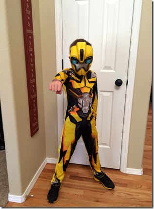 individual costumes 004