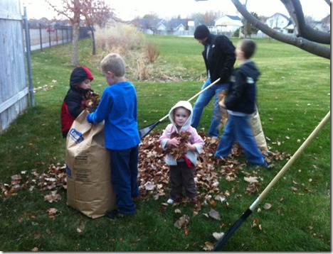 leaf raking 001