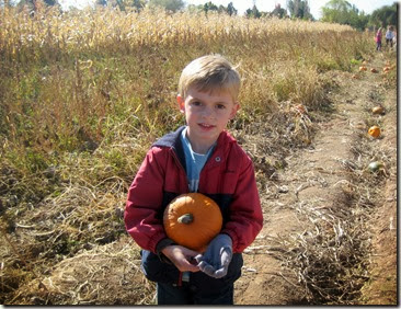 pumpkin patch and more 063