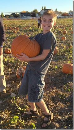 pumpkin patch 138edit