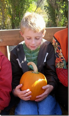 pumpkin patch and more 071edit