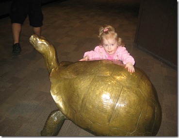 st. patty's day and the zoo 011