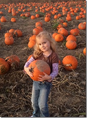 Pumpkin patch, leaves, etc 195edit