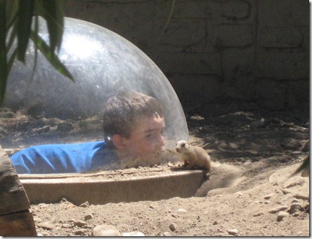 zoo and father's day 077