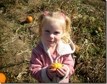 pumpkin patch and more 066