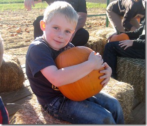 Pumpkin patch 096