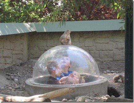 zoo and father's day 017