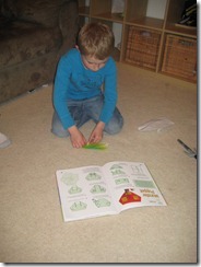 kites and chopsticks 024