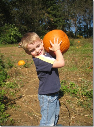 pumpkin patch 078