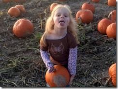 Pumpkin patch, leaves, etc 208edit