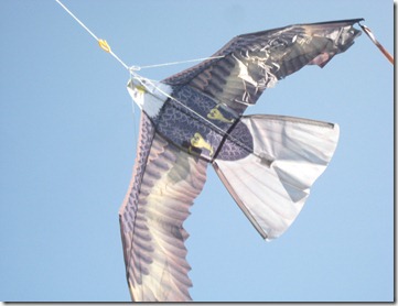 kites and chopsticks 003