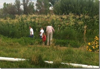 End of summer 055edit