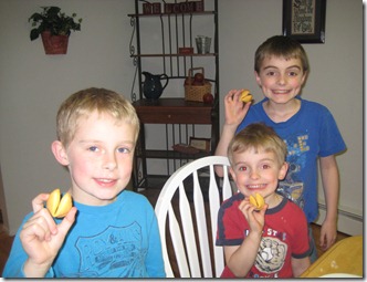 kites and chopsticks 020