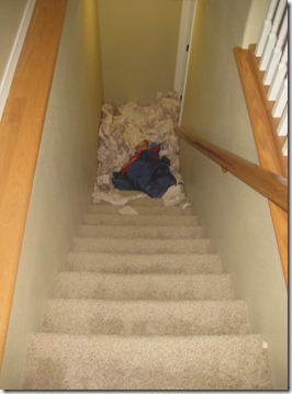 june and first week of july 029