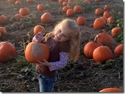 Pumpkin patch, leaves, etc 202edit