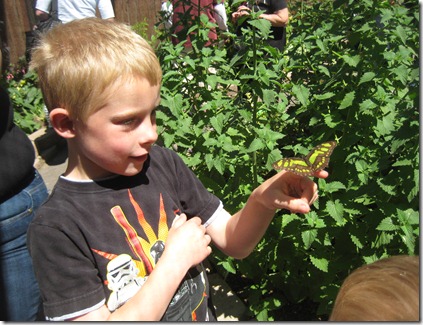 zoo and father's day 075