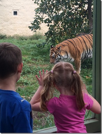 October Kami phone 038edit