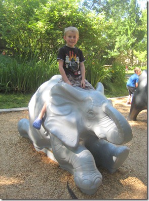 zoo and father's day 006