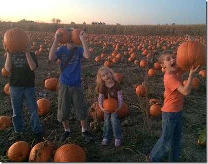 Pumpkin patch, leaves, etc 234edit