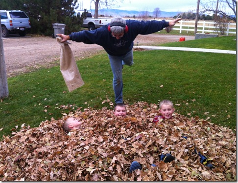 dishes and leaves 030
