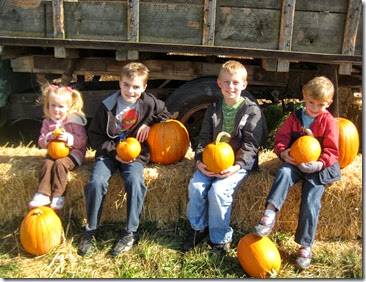 pumpkin patch and more 078