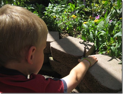 zoo and father's day 062