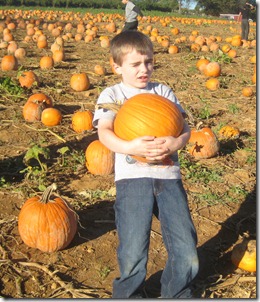 Pumpkin patch 069edit