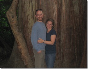 more washington 153edit