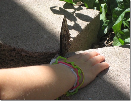 zoo and father's day 063