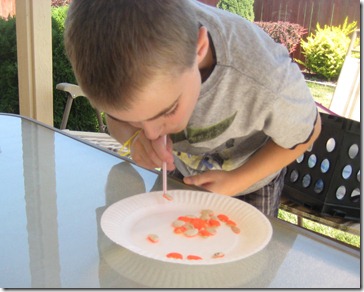 summer stuff 046edit