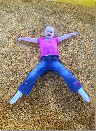 pumpkin patch 035edit