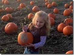 Pumpkin patch, leaves, etc 203edit