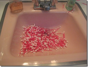 more baby liberty 057