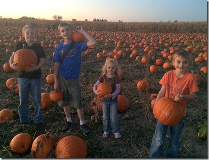 Pumpkin patch, leaves, etc 230edit