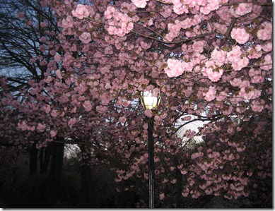 valley forge and new york 062